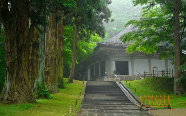 守護金色堂的覆堂,杉木環繞